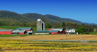 Penns Valley Farms